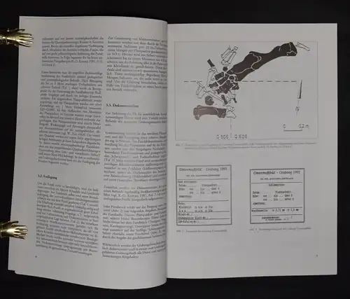 Bergung und Präparation pleistozäner Wirbeltierreste - Paläontologie Fossilien