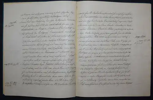 BLÄTTER DER ERIN(N)ERUNG - DEUTSCHE HANDSCHRIFT UM 1880 - APOTHEKER-VEREIN