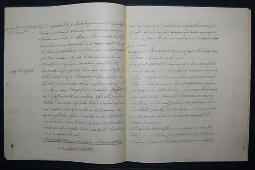 BLÄTTER DER ERIN(N)ERUNG - DEUTSCHE HANDSCHRIFT UM 1880 - APOTHEKER-VEREIN