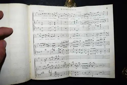 Hebel, Allemannische Gedichte - 1808 - MUNDART - ALLEMANNEN