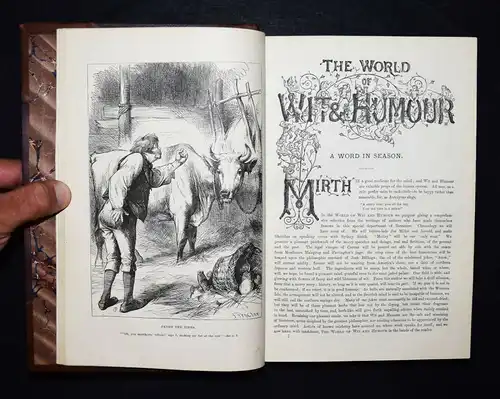 Fenn, The world of wit and humour 1874 - FIRST EDITION HUMOR SATIRE KARIKATUREN