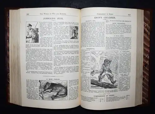 Fenn, The world of wit and humour 1874 - FIRST EDITION HUMOR SATIRE KARIKATUREN