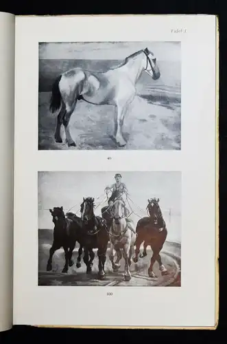 Speyer, Künstlerischer Nachlass - 1929 - Pferde - horses