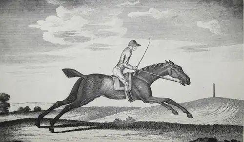 Taunton, Portraits of celebrated racehorses...1887 PFERD PFERDE REITSPORT