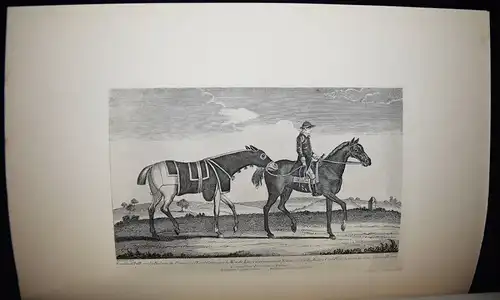 Taunton, Portraits of celebrated racehorses...1887 PFERD PFERDE REITSPORT