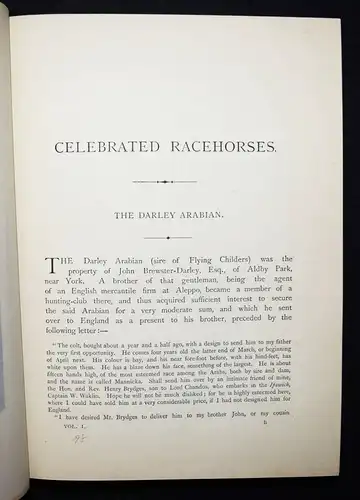 Taunton, Portraits of celebrated racehorses...1887 PFERD PFERDE REITSPORT