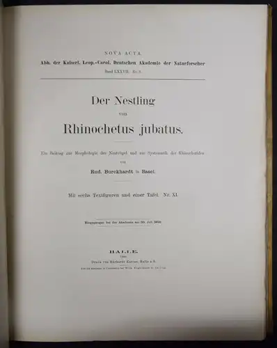ORNITHOLOGIE - 1901 - VÖGEL INSEKTEN - ZOOLOGIE - Nova Acta, 77. Band