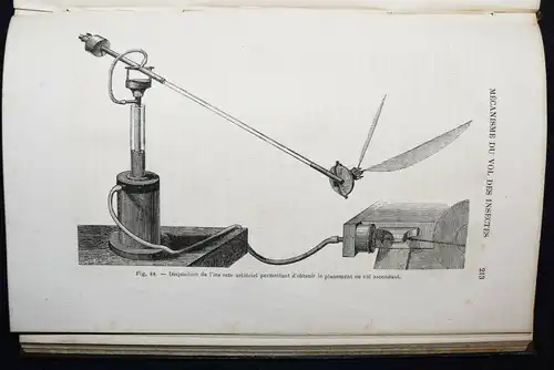 Marey, La machine animale - 1873  Chrono-Photographie · Film · Medizin