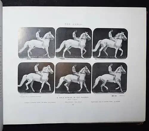 Muybridge, Animals in motion - 1902 - KINEMATOGRAPHIE CINEMATOGRAPHY