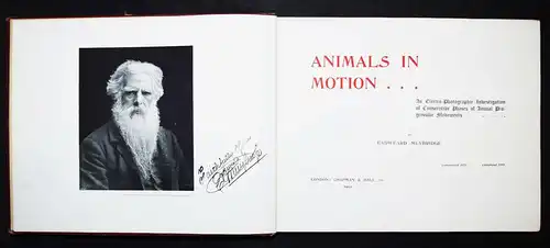 Muybridge, Animals in motion - 1902 - KINEMATOGRAPHIE CINEMATOGRAPHY