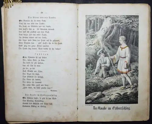 Johann Georg Freihofer - Kinderbuch - 1853  - Tafeln von August Corrodi