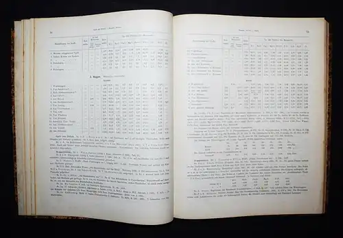 Wolff, Aschen-Analysen - 1871 - Erste Ausgabe SELTEN CHEMIE AGRARCHEMIE