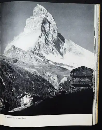 Heiniger, Viertausender 1942 - ALPEN - ALPINISTIK - EINZIGE AUSGABE BERGSTEIGEN