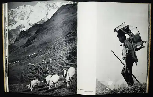 Heiniger, Viertausender 1942 - ALPEN - ALPINISTIK - EINZIGE AUSGABE BERGSTEIGEN