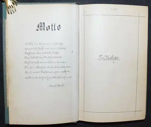 GEDICHTE - DEUTSCHE HANDSCHRIFT AUF PAPIER - 1905 - APHORISMEN - FABELN