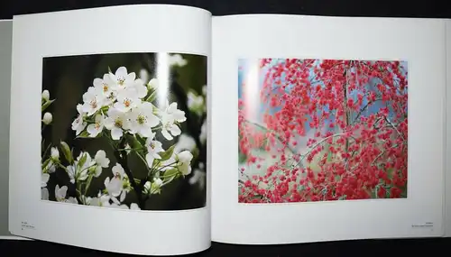 Shinzo Maeda - The realm of color - Erstausgabe 1988 - Blumen - Japan