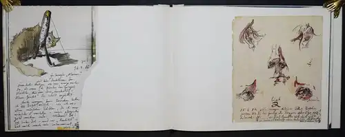 Horst Janssen - Svanshall verkehrt - 1987 - SIGNIERT 