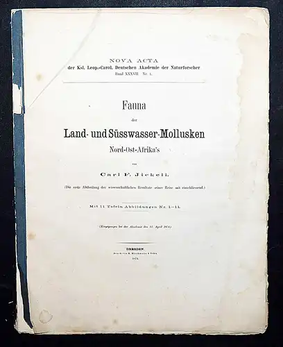 MUSCHELN MOLLUSKEN AFRIKA 1874 Jickeli, Fauna der Land- und Süsswasser