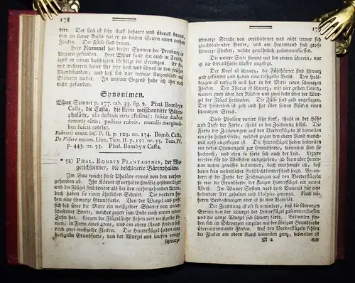 Borkhausen - SCHMETTERLINGE 1790 - ENTOMOLOGIE INSEKTEN ZOOLOGIE 