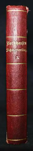 Borkhausen - SCHMETTERLINGE 1790 - ENTOMOLOGIE INSEKTEN ZOOLOGIE 
