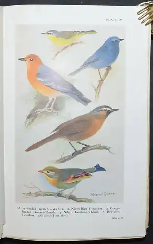 HUGH WHISTLER - POPULAR HANDBOOK OF INDIAN BIRDS - 1949 - ORNITHOLOGIE - VÖGEL