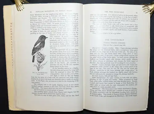 HUGH WHISTLER - POPULAR HANDBOOK OF INDIAN BIRDS - 1949 - ORNITHOLOGIE - VÖGEL