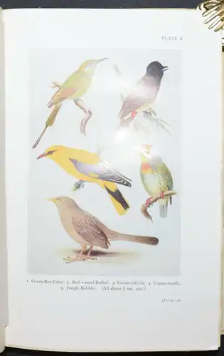 HUGH WHISTLER - POPULAR HANDBOOK OF INDIAN BIRDS - 1949 - ORNITHOLOGIE - VÖGEL