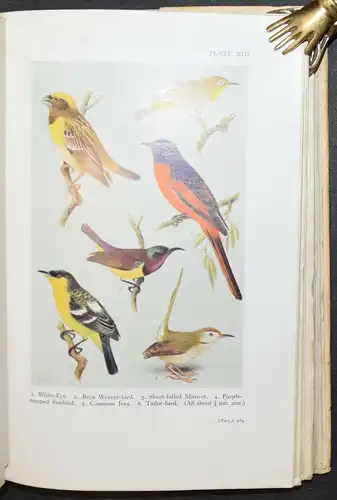 HUGH WHISTLER - POPULAR HANDBOOK OF INDIAN BIRDS - 1949 - ORNITHOLOGIE - VÖGEL