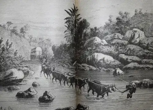 Heichen, Afrika Hand-Lexikon 1885 ERSTE AUSGABE AFRIKA LEXIKON LEXICON