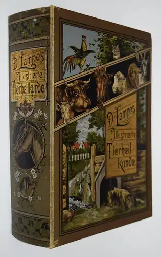 Lampe, Illustrierte Tierheilkunde 1899 TIERHEILKUNDE TIERKRANKHEITEN