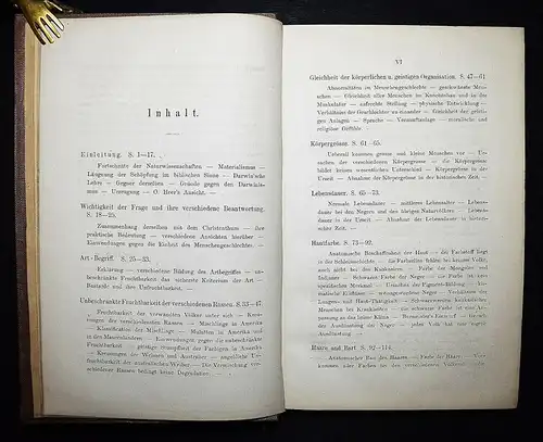 ANTHROPOLOGIE 1873 Rauch, Die Einheit des Menschengeschlechtes - ERSTE AUSGABE