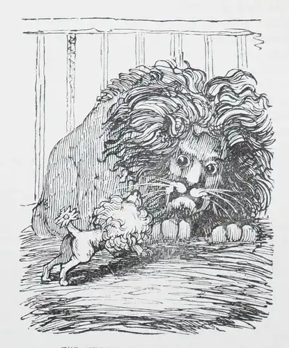 Hood - Hood’s own or laughter from year to year - -  1873