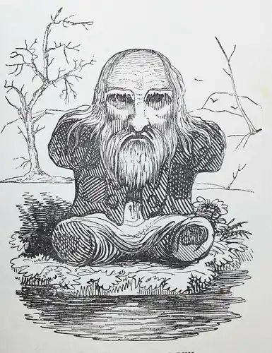Hood - Hood’s own or laughter from year to year - -  1873