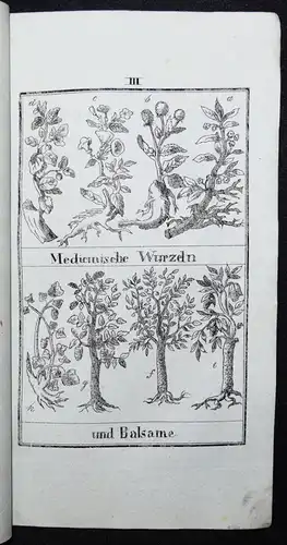 Basselet la Rosee, Sammlung reifer Blüthen und Früchte ... 1827 BIEDERMEIER