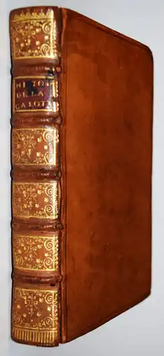 Plantavit de La Pause, Memoires pour servir à l’histoire de la Calotte 1725