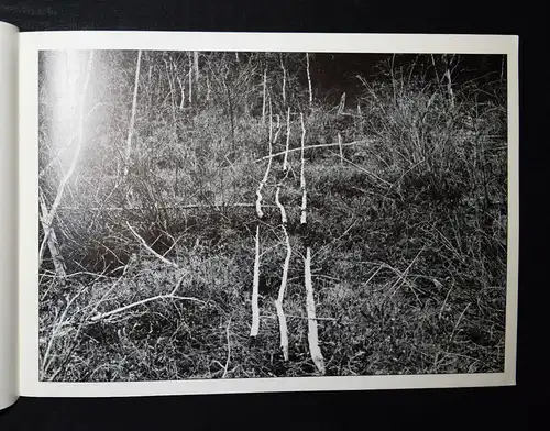 Richard Long, North woods - 1977 - SELTENER FRÜHER KATALOG