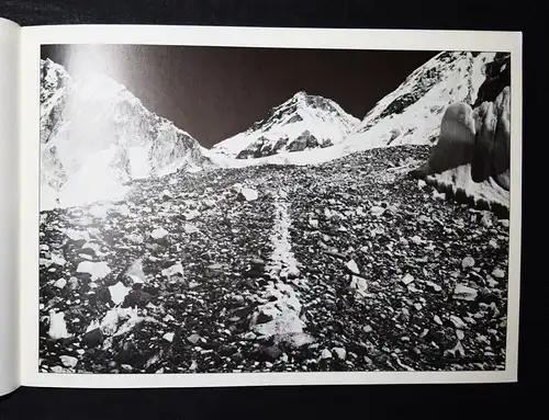 Richard Long, North woods - 1977 - SELTENER FRÜHER KATALOG