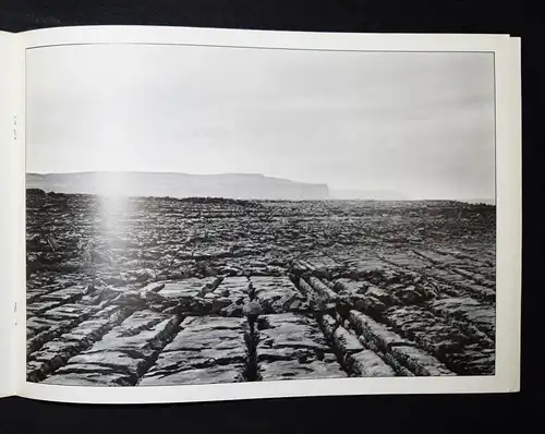 Richard Long, North woods - 1977 - SELTENER FRÜHER KATALOG