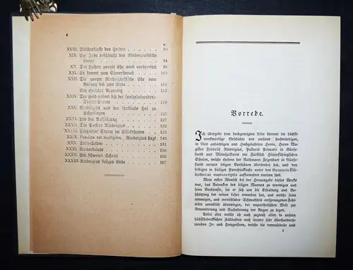 Denarrée, Leben und Thaten des...Pastor Rindvigius - JANUS-VERLAG 1913 SATIRE