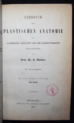 Harless, Lehrbuch der plastischen Anatomie - 1856 - ANATOMIE