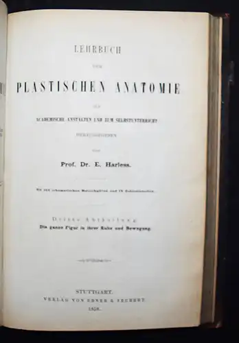 Harless, Lehrbuch der plastischen Anatomie - 1856 - ANATOMIE