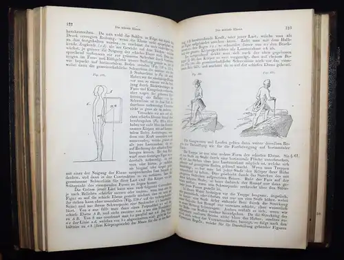 Harless, Lehrbuch der plastischen Anatomie - 1856 - ANATOMIE