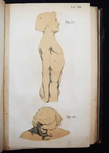 Harless, Lehrbuch der plastischen Anatomie - 1856 - ANATOMIE