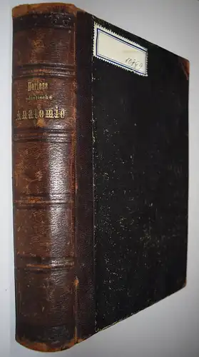 Harless, Lehrbuch der plastischen Anatomie - 1856 - ANATOMIE