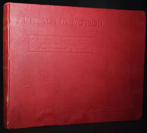 Muybridge, Animals in motion 1925 - KINEMATOGRAPHIE - CINEMATOGRAPHY - FILM