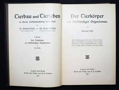 Hesse u. Doflein, Tierbau und Tierleben...1914 BIOLOGIE ZOOLOGIE ANATOMIE