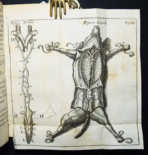 Pecquet, Experimenta nova anatomica 1700 PHYSIOLOGIE ANATOMIE Ductus thoracicus