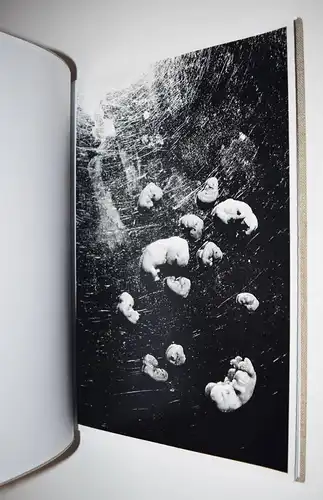 Moriyama, Daido- Pantomime SIGNIERT - JAPAN - FÖTUS - BABY - BABYS