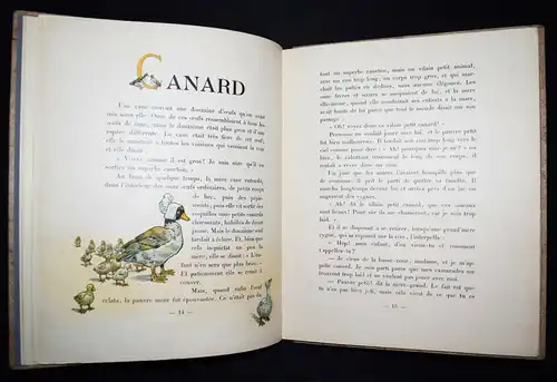 Lemaitre. ABC. Avec des images de Job. Tours 1921  MÄRCHENBILDERBUCH