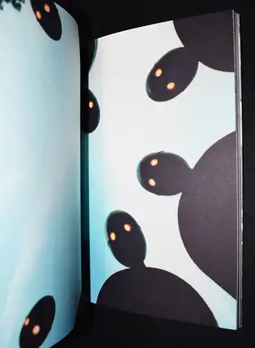 Kaoru and Gerval, Shadows and light - SIGNED